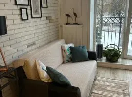 Northern Lights small apartment B at Emmas Street 28, Riga