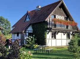 Dabki Village - Villa Rena