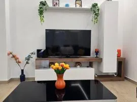 Appartamento Amelia