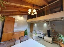 Dr Liu Institute - Business and Seminar Residence