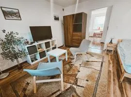 Apartament 5 minut od Parku Zamkowego