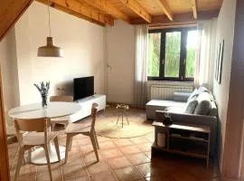 Escuelas de collía C