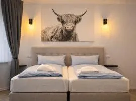 Modern City Apartment Pforzheim frieden apartments