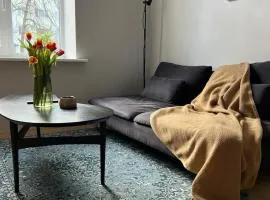 Quiet place near Kalamaja