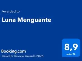 Luna Menguante