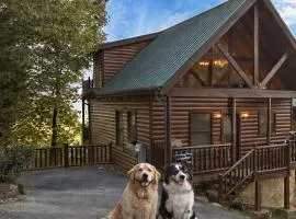 Dog-loving cabin Theater room Gorgeous views