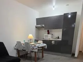 appartement cosy 1 chambre