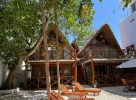 Nido BY puerto morelos