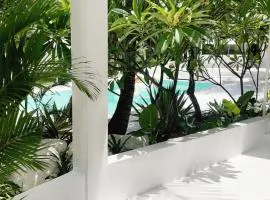 Cocoon Signature Palm Tree Garden