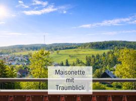 SONNENSEITE Schonach - Für Paare und Ruhesuchende - Private Infrarotsauna - 2 SZ - Küche mit Spülmaschine und Mikrowelle - 300 m zum Waldrand - Parkplatz direkt am Haus, hotell sihtkohas Schonach