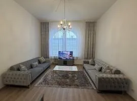 Cozy apartment with good public transport connections