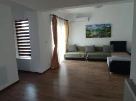 Apartament multinivel, mobilat, la 5 minute de Baile Felix