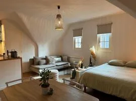 Studio en plein cœur de Vannes