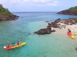 Alamanda en pleine nature , proche de la réserve de Cousteau et de la plage de Malendure