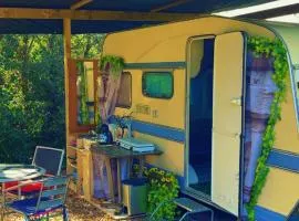 Roulotte individuelle dans le maquis Corse