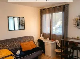 Le Zen -studio tout équipé- WIFI Fibre- centre ville avec parking