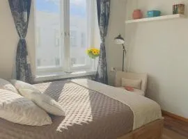 Premium Studio Apartment in the City Center, Free Wi-Fi