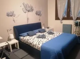 La Casa Blu- Forum di Assago, Humanitas, Milanofiori, IEO