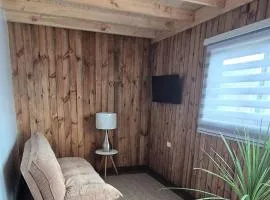 Lodge Mirador del Cóndor con Acceso Privado a Playa en Arauco