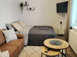 Cozy studio in the heart of the city