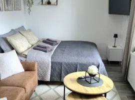 Cozy studio in the heart of the city