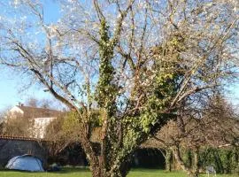 Fontaineblhostel hostel & camping near Fontainebleau