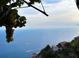 B&b La Vigna, hotel a Furore