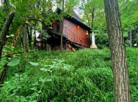 Brvnare Platan, Hotel in Vrdnik