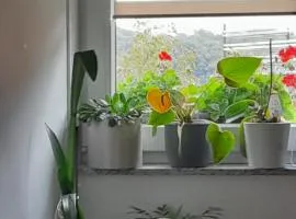 Sobe za odmor Sandra