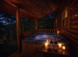 Cozy Bear Cabin، فندق في Cosby