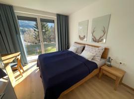 Privatwohnung am Prielerweg in Hinterstoder, hotel di Hinterstoder