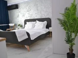 Studio în Centru - Cinema Smart TV 165cm cu Netflix 4k Premium - Hbo