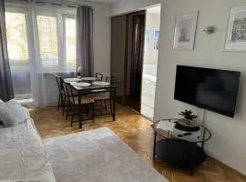 Przytulne mieszkanie w sercu Jeżyc - spacer do centrum