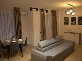 Luxury Apartment Fundeni - 2