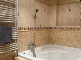 Carlsbad APT near city center