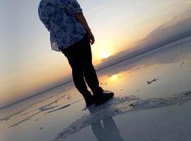 PALM PALACE Best BUDGET HOTEL & TOUR Options s, מלון בבהר דר