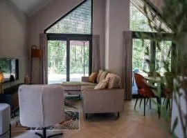 Modern Ecovilla with Terrace on the Water