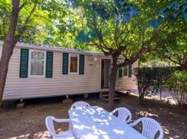 Mobil-home accueillant - 6 pers. - API-1-52-1985