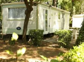 Mobil-home avec terrasse - 6 pers. - API-1-52-1984