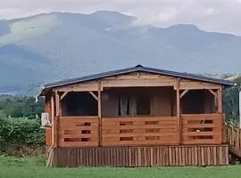 Chalet avec terrasse - 5 pers. - API-1-52-1982