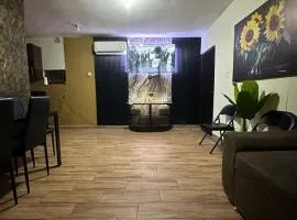 Departamento Mateo'S 505