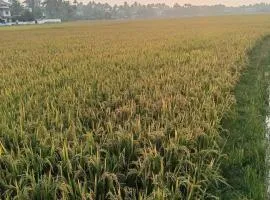 Property near cochin international airport