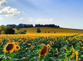 I Girasoli