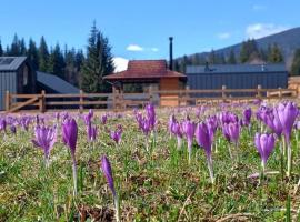 The Prut Lodge, hotel u gradu Vorokta