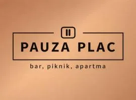 Pauza Plac