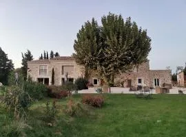 La petite plaine