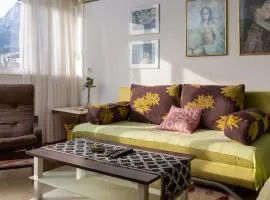 Apartment Edita - Town Centre