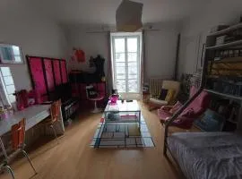 Grande chambre chez l'habitant dans hypercentre piéton