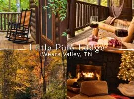 Little Pine Lodge a Smokies Hideaway - 1 mi to GSMNP - King Suite & Loft, Fireplace, Hot Tub & BEARS!