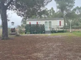 Casa da praia fluvial o Moinho